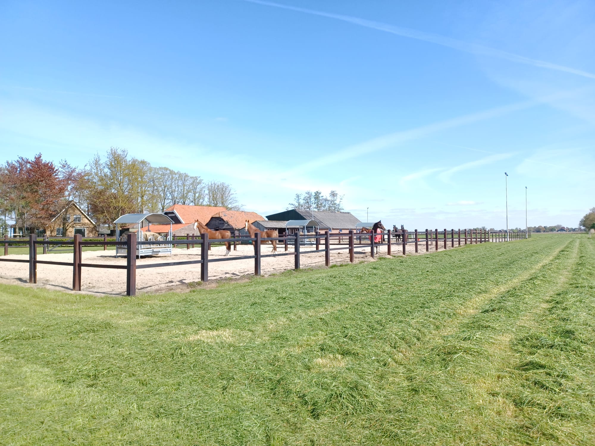 WhatsApp Image 2023-05-03 at 11.21.23 (1)